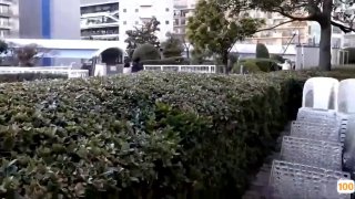 《欧美A级毛欧美t级a大片》日韩电影在线观看-达达兔影视